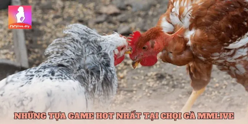 Những tựa game hot nhất tại Chọi gà MMlive