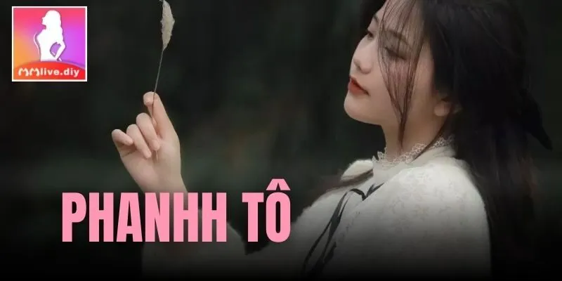 phanhh tô