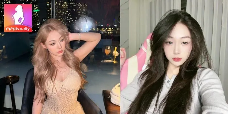 Sơ lược về tiểu sử  Trần Hà Linh